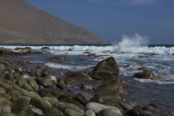 Pacifische kust van Noord-Chili — Stockfoto