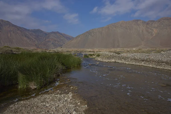 Nehir Atacama Çölü'nde