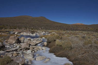 Dağları kuzey Şili'nda bir sulak Lauca Milli Parkı'nda su donmuş