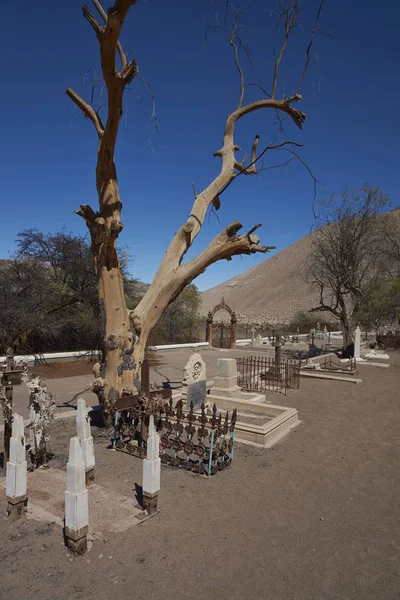 公墓在阿塔卡马沙漠 — 图库照片