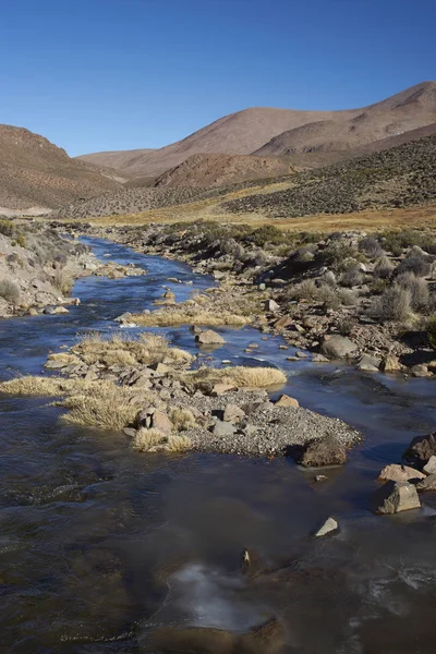Παγωμένος ποταμός για τη Αλτιπλάνο της Χιλής — Φωτογραφία Αρχείου