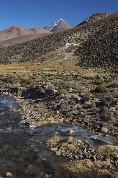 Παγωμένος ποταμός για τη Αλτιπλάνο της Χιλής — Φωτογραφία Αρχείου