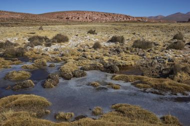 Altiplano üzerinde donmuş sulak