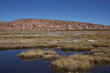 Sulak Altiplano üzerinde