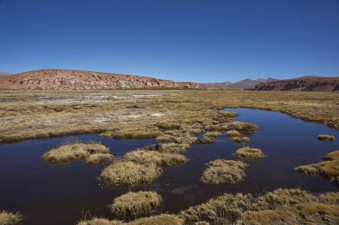 Sulak Altiplano üzerinde