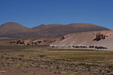 Şili Altiplano peyzaj