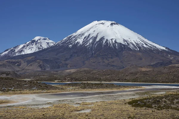 Volcanoes of the Chilean Altiplano — Stock Photo, Image