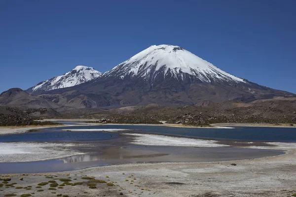 Volcanoes of the Chilean Altiplano — Stock Photo, Image