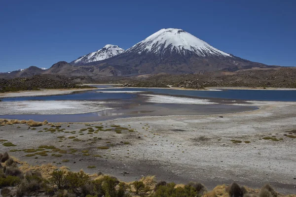 Şili Altiplano volkanlar — Stok fotoğraf