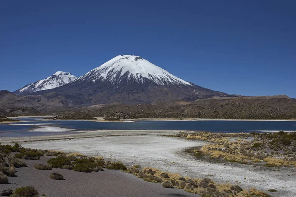 Volcanoes of the Chilean Altiplano — Stock Photo, Image