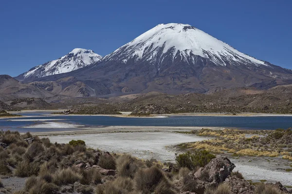 Volcans de l'Altiplano chilien — Photo