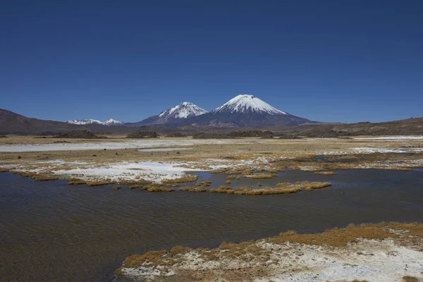 Lauca 国立公園の火山群 — ストック写真