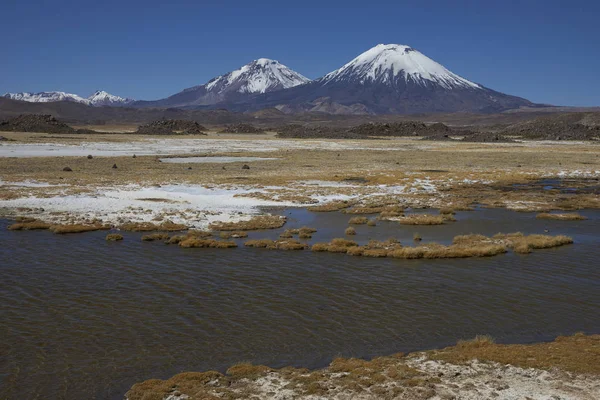 Vulcani del Parco Nazionale di Lauca — Foto Stock