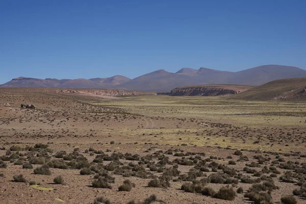 Grote Vallei Leidt Tot Rivier Lauca Hoog Altiplano Van Noord — Stockfoto