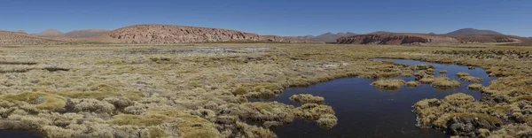 Zonas húmidas no Altiplano — Fotografia de Stock