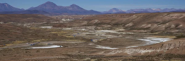 Široké Údolí Řeky Lauca Vysoko Altiplano Severního Chile Národním Parku — Stock fotografie