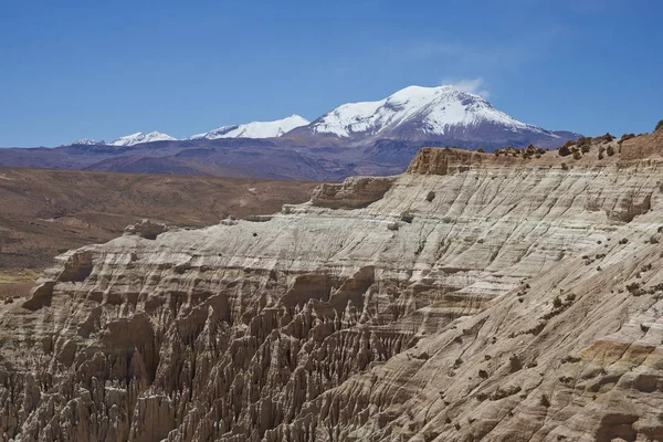 Manzara Lauca Millî Parkı