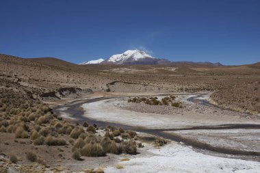 Altiplano nehirde