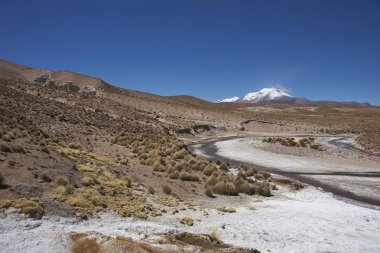 Altiplano nehirde