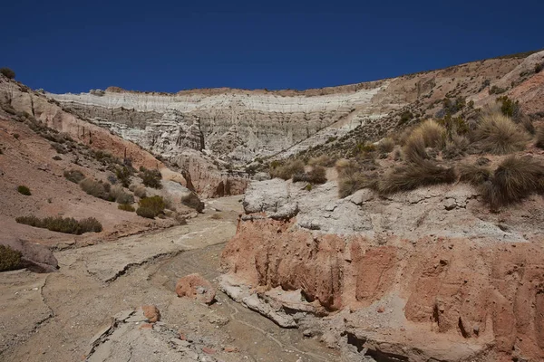 Canyon colorato sull'Altiplano — Foto Stock