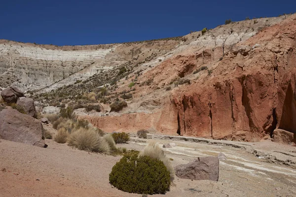 Colorido cañón en el Altiplano —  Fotos de Stock