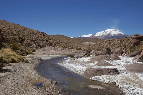 Rivière sur l'Altiplano — Photo