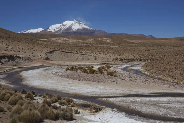 Řeka na Altiplano — Stock fotografie