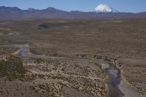 ภูเขาไฟ Parinacota บน Altiplano — ภาพถ่ายสต็อก