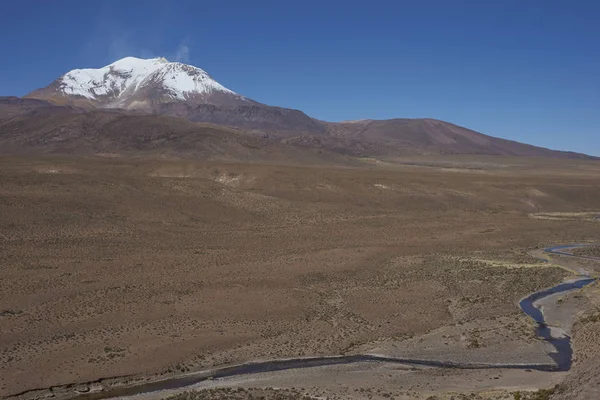 Guallatiri volkan Altiplano üzerinde