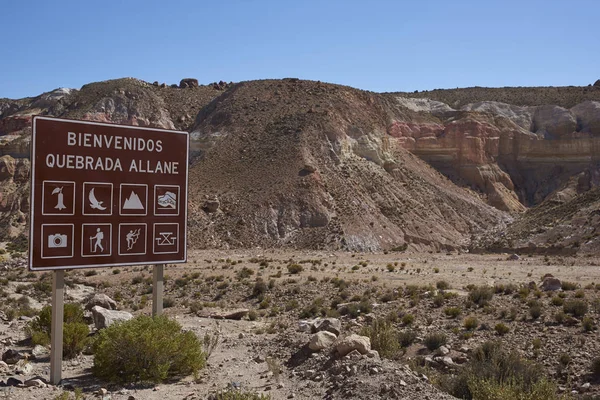 Timp liber pe Altiplano din nordul Chile — Fotografie, imagine de stoc