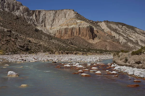 Στον ποταμό Altiplano — Φωτογραφία Αρχείου