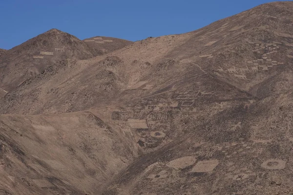 Große Gruppe Uralter Felszeichnungen Den Hängen Des Cerro Pintados Der — Stockfoto