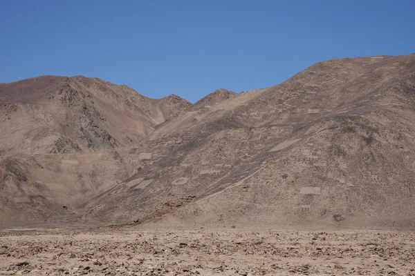 Duża Grupa Starożytnych Petroglify Zboczach Cerro Pintados Pustyni Atakama Północnym — Zdjęcie stockowe