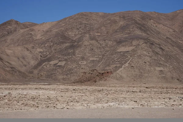 大群的古代岩画在 Cerro Pintados 在阿塔卡马沙漠中的智利北部塔拉帕卡地区山坡上 — 图库照片