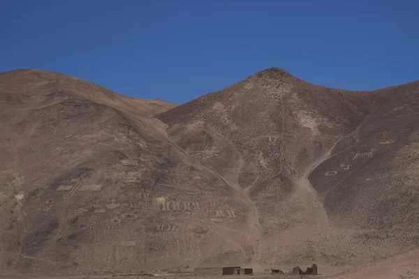 大群的古代岩画在 Cerro Pintados 在阿塔卡马沙漠中的智利北部塔拉帕卡地区山坡上 — 图库照片