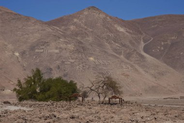 Petroglyphs at Cerro Pintados in the Atacama Desert of Chile clipart