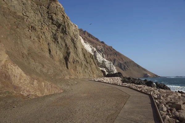 チリの海岸にアリカの Anzota 地域だった Chinchorro の人々 によって和解として使用され 後で崖上に堆積グアノの採掘 — ストック写真