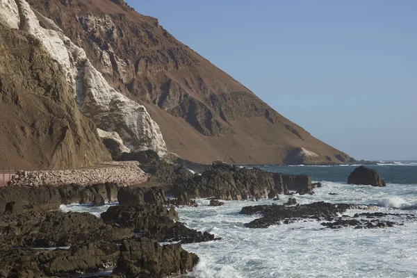 Anzota Caves Arica Coast Chile Area Used Settlement Chinchorro People — Stock Photo, Image