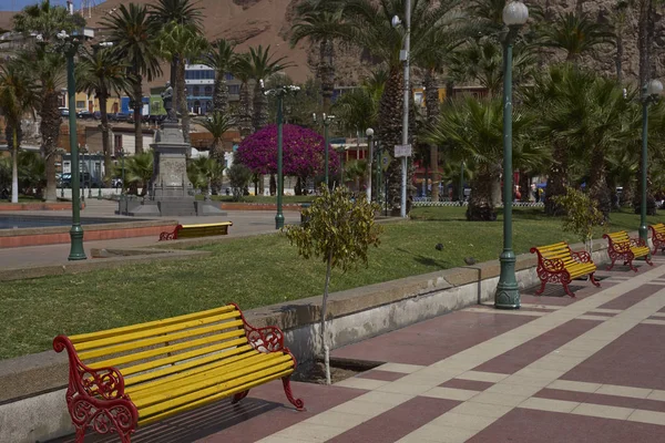 Arica Χιλή Αυγούστου 2017 Πολύχρωμους Πάγκους Και Τους Κήπους Του — Φωτογραφία Αρχείου