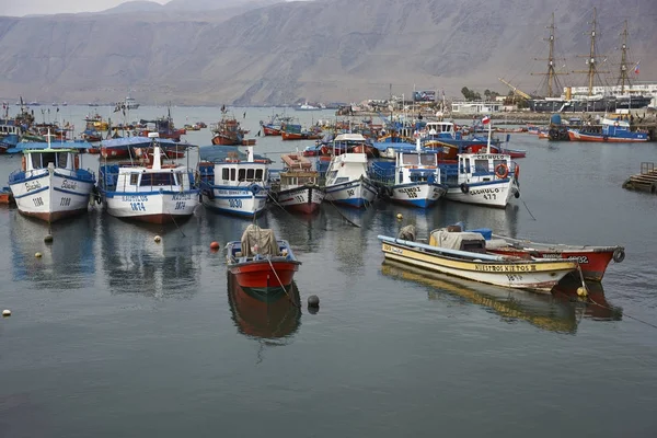 Barcos de pesca en Iquique Puerto —  Fotos de Stock