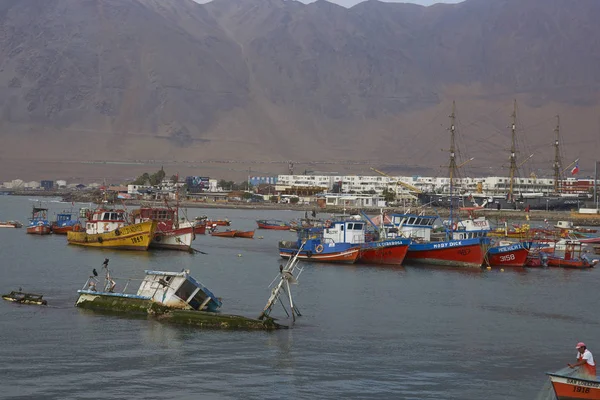 Barcos de pesca en Iquique Puerto —  Fotos de Stock