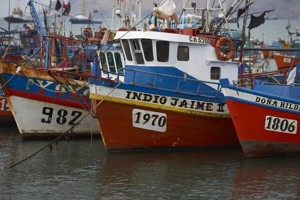 Vissersboten in de haven van Iquique — Stockfoto