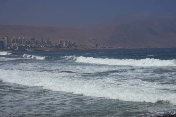 Kust stad van Iquique — Stockfoto