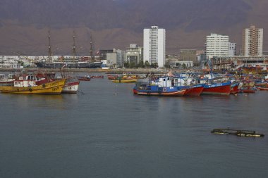 Iquique Harbour balıkçı tekneleri