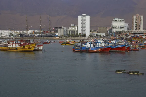 Rybářské lodě v přístavu Iquique — Stock fotografie