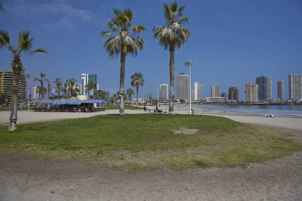 Cavancha Beach i Iquique – stockfoto