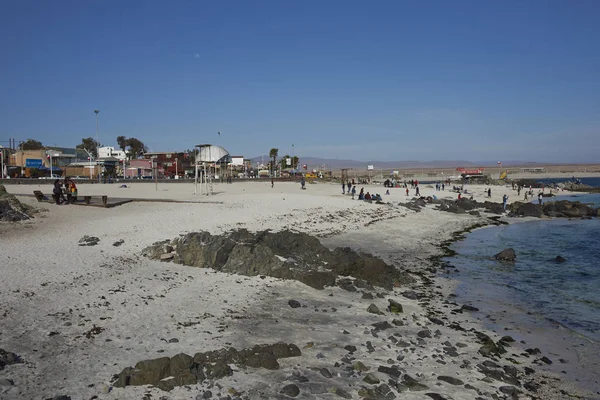 Bahia Inglesa, Região de Antofagasta, Chile — Fotografia de Stock