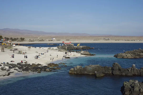 Bahia Inglesa, Região de Antofagasta, Chile — Fotografia de Stock