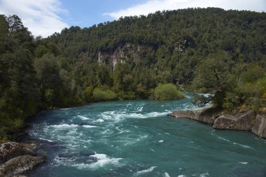 Güney Şili Aysn bölgesinin ormanlık bir vadi üzerinden akan nehir Futaleufu. Nehir beyaz su rafting için dünyanın önde gelen yerlerden biri olarak tanınır.