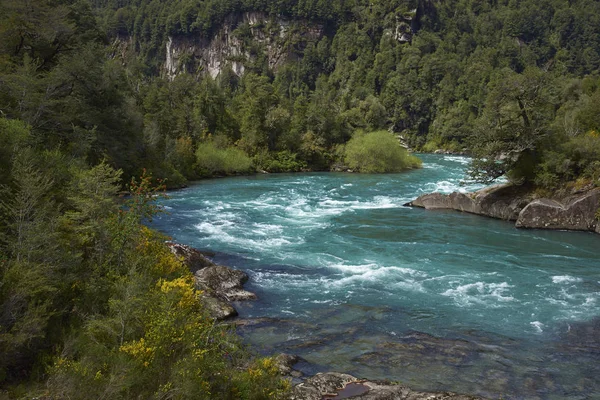 Rivier Futaleufu Stroomt Door Een Beboste Vallei Aysn Regio Van — Stockfoto